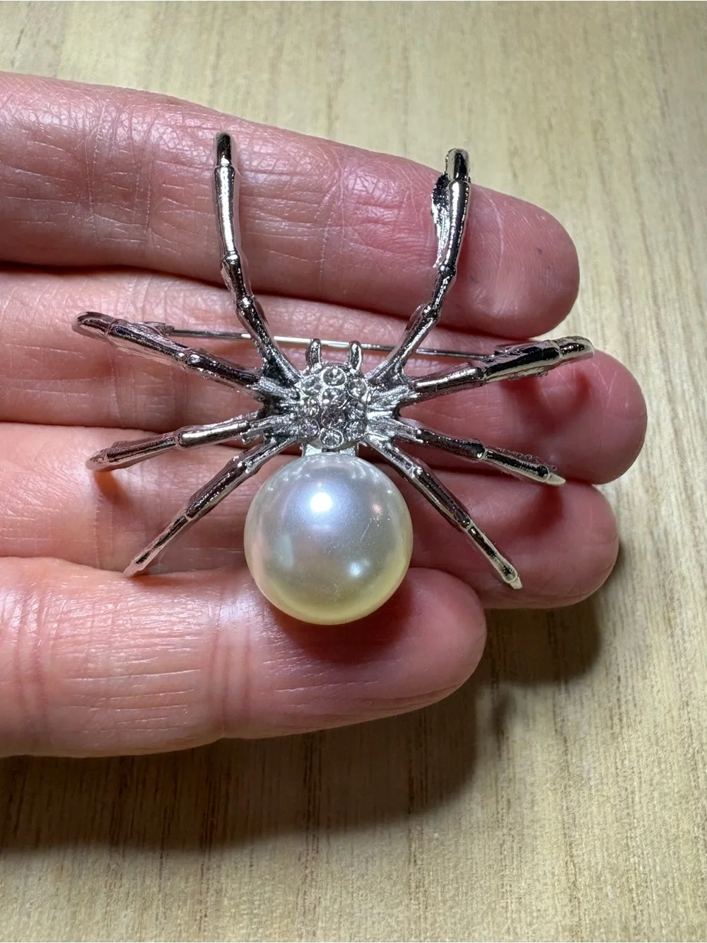 N/A elegant spider